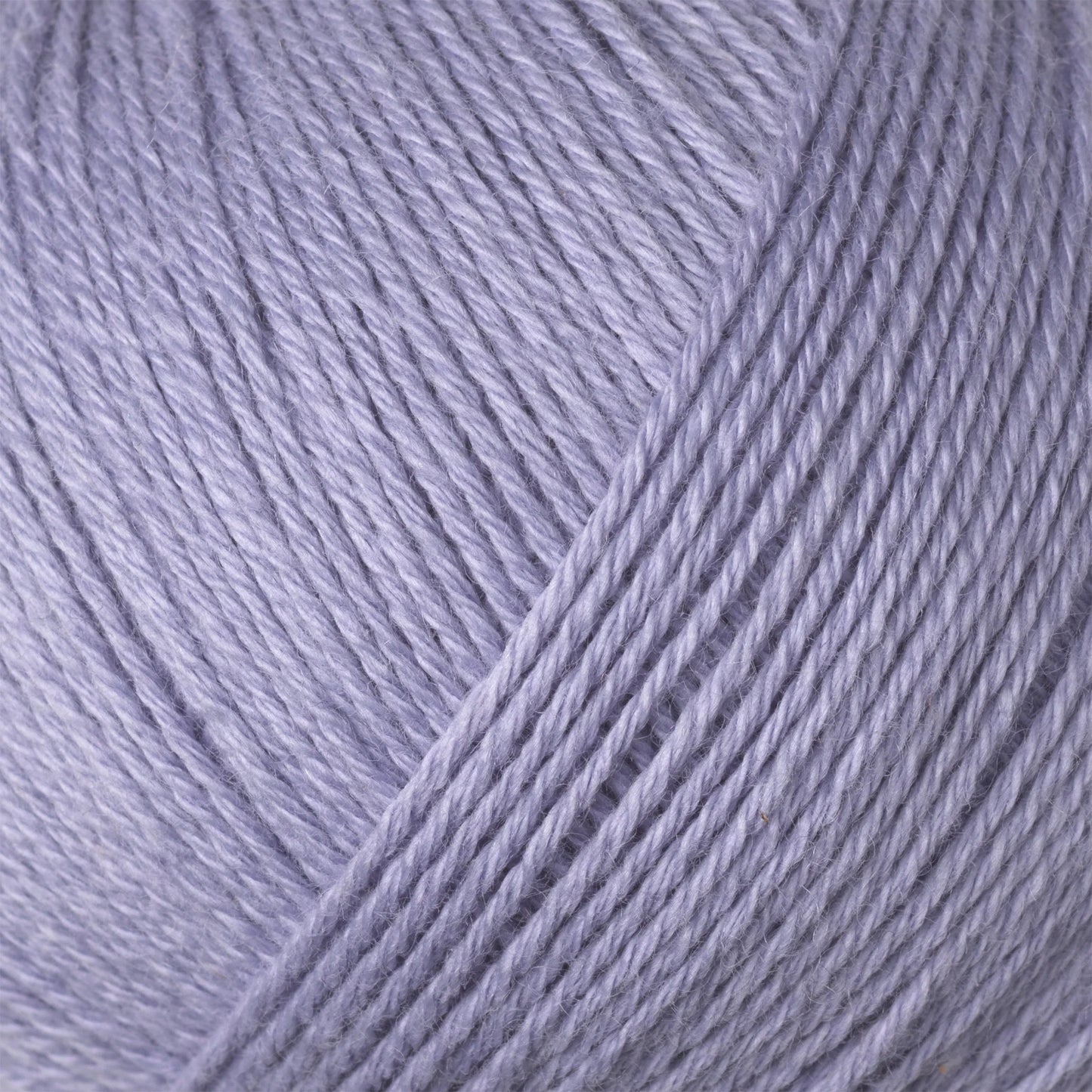 Cotton Merino