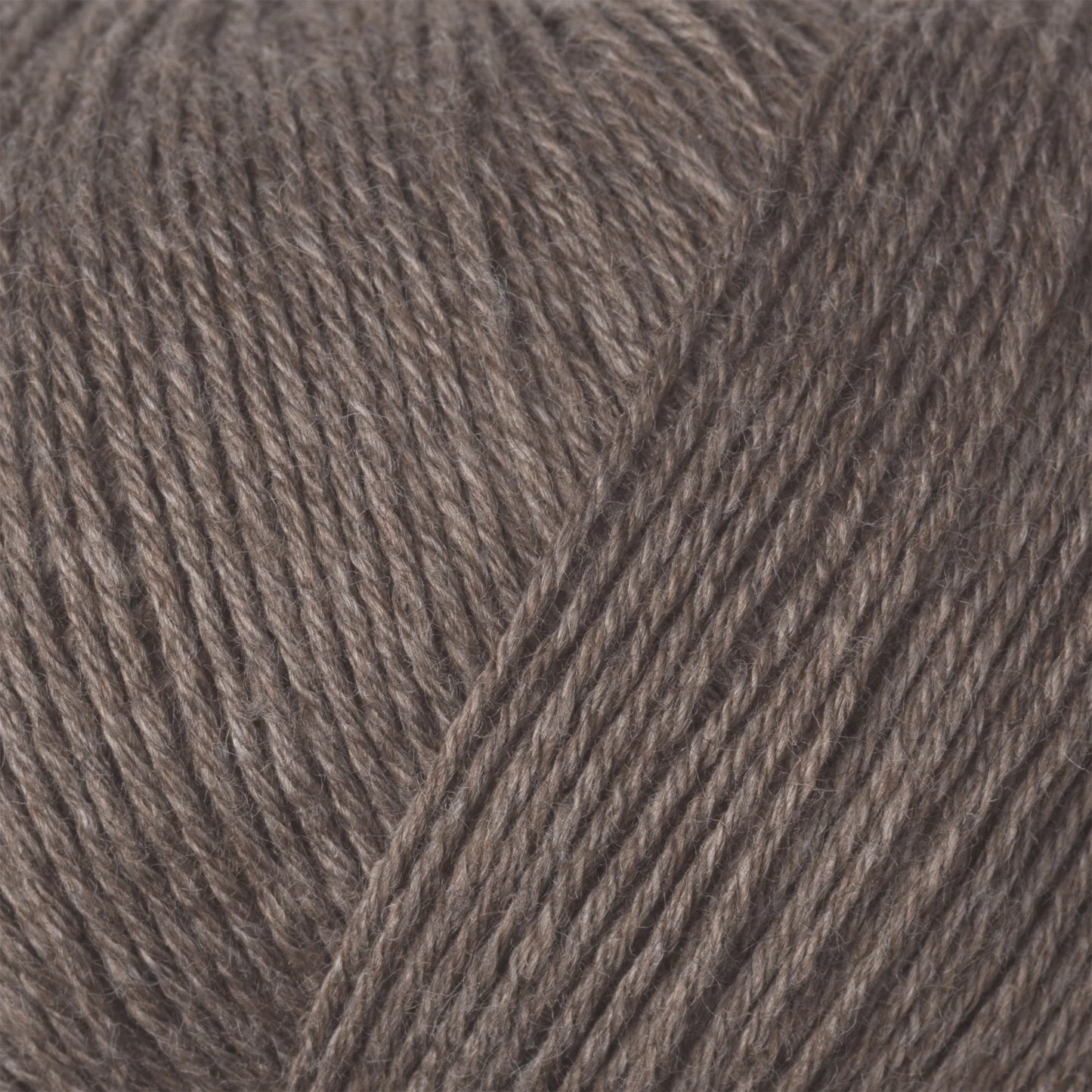 Cotton Merino