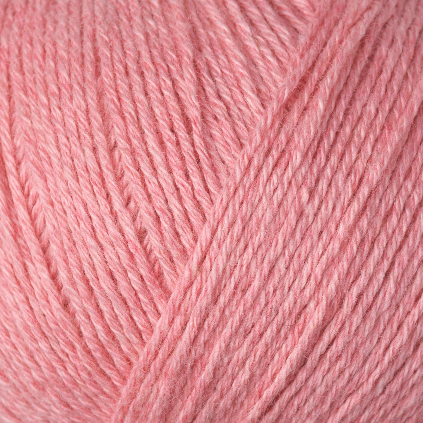 Cotton Merino