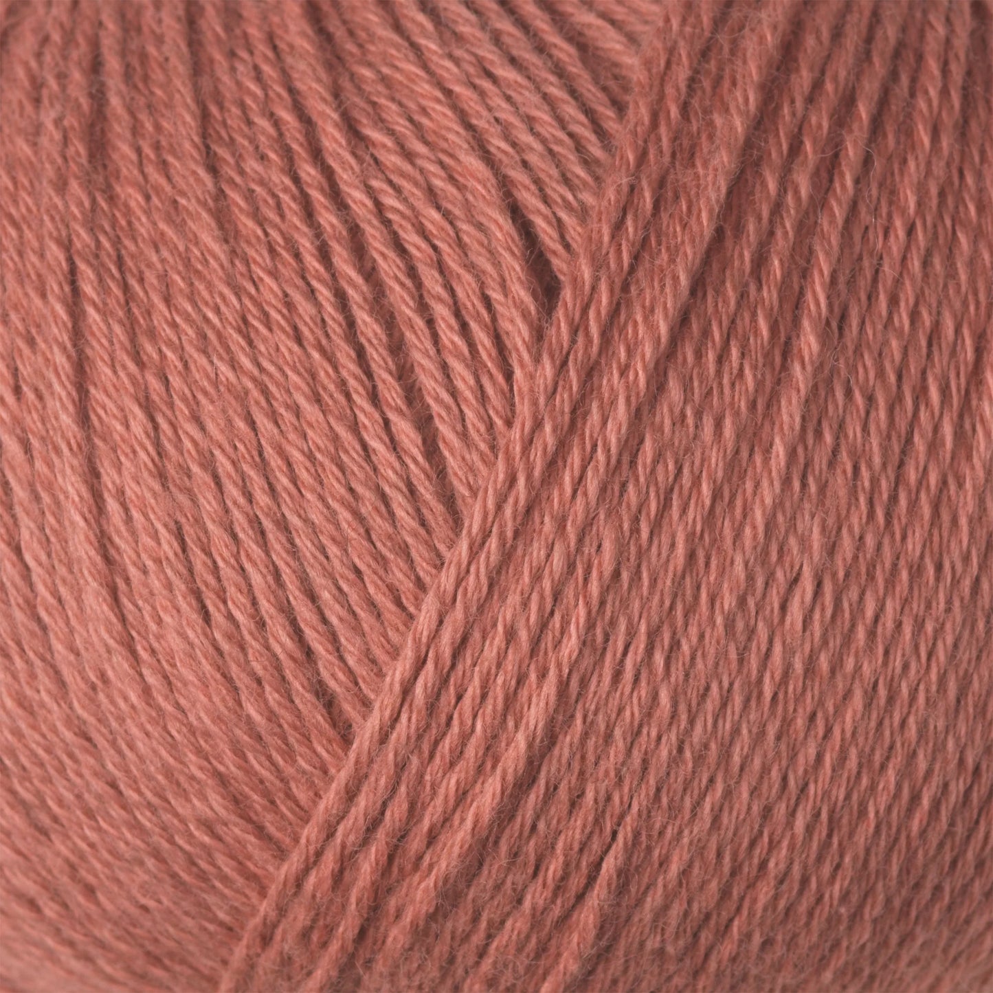Cotton Merino