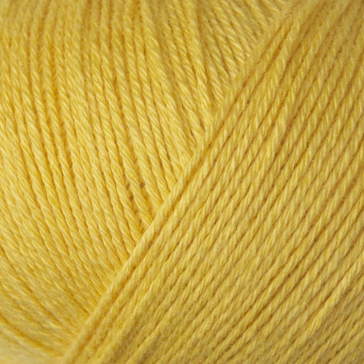 Cotton Merino