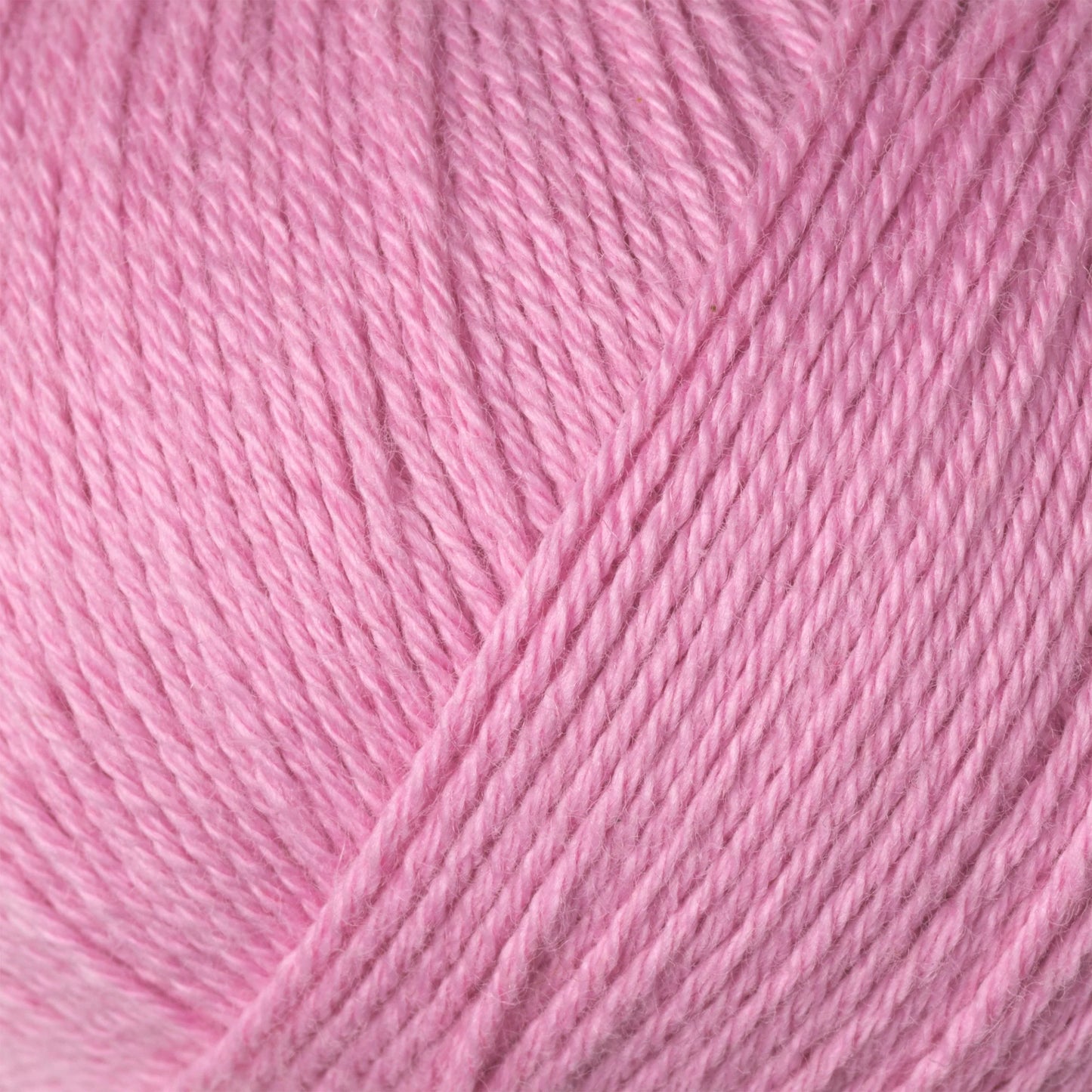 Cotton Merino