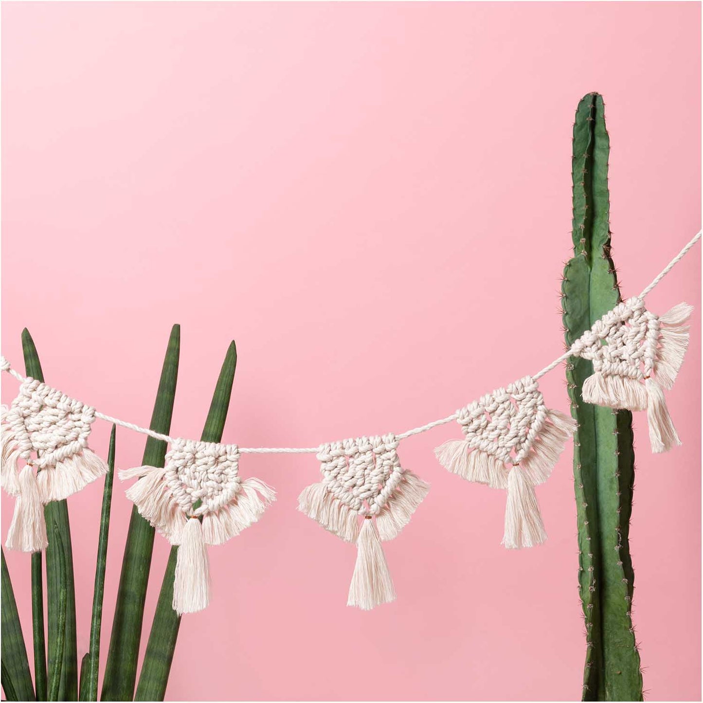 Creative Cotton Cord