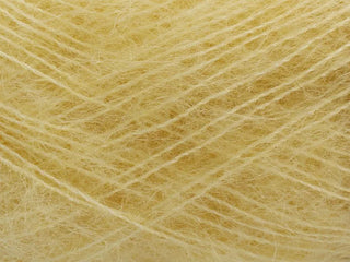 Tilia