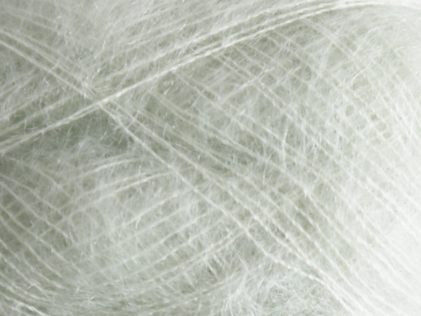 Tilia